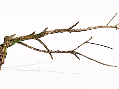 Natural Wood and Stone Branches with Rustic Decorative Texture Details 3d model
