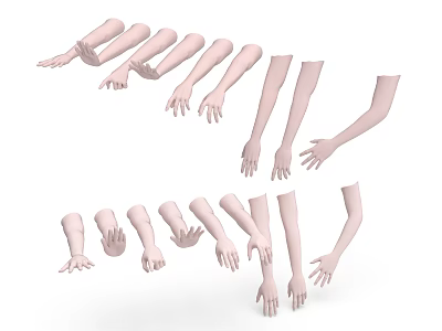 Man 3D Arm and Hand Models With Various Poses and Gestures 3d model