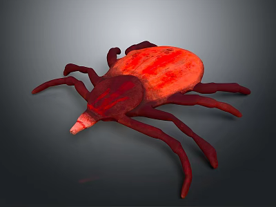 Red Tick Insect 3D Rendered Model With Detailed Body And Eight Legs 3d model