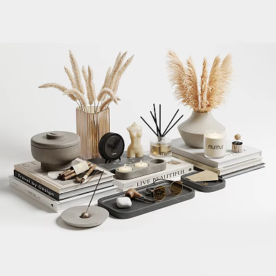 Stylish Decorative Ornament Set With Pampas Grass Vases Aroma Diffusers Candles Trays And Books 3d model