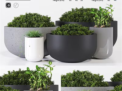 Modern Decorative Ornament Set With Green Plants And Neutral Colored Planters 3d model