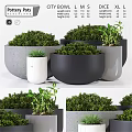 Modern Decorative Ornament Set With Green Plants And Neutral Colored Planters