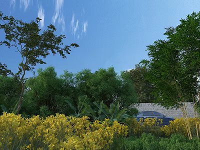 Healthy Crops with Yellow Blooms in Open Field Under Blue Sky and Green Trees 3d model