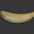 Cream Colored Ivory Sculpture With Natural Texture And Smooth Surface Carving
