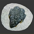 Frog Poison Frog Game Frog Reptile Cold Blooded Animal Reptile 3d model