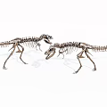 Modern Dinosaur Skeleton 3d model