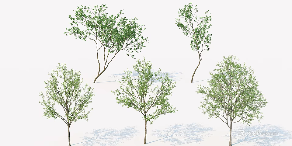 Multiple Green Leafy Trees With Different Trunk Shapes And Natural Canopies 3d model