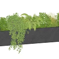 Potted Plants in Black Rectangular Concrete Planters with Hanging Vines Palm Leaves and Green Shrubs