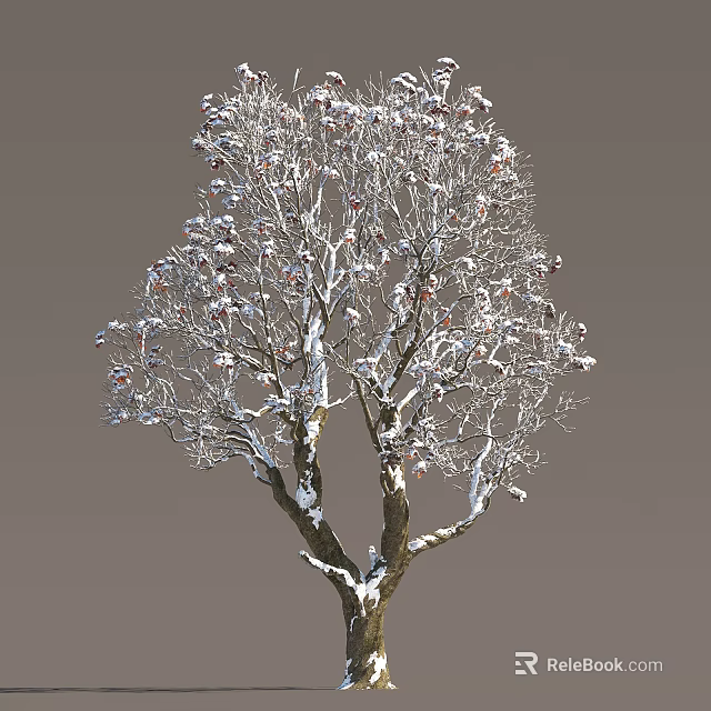 Snow Covered Deciduous Arbor With White Snow On Branches And Natural Beauty 3d model 