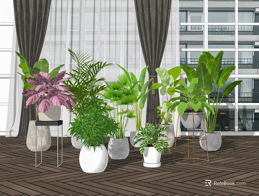 Indoor Potted Plants with White Pots Metal Stands Near Window Curtains on Wooden Floor 3d model 