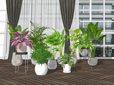 Indoor Potted Plants with White Pots Metal Stands Near Window Curtains on Wooden Floor 3d model