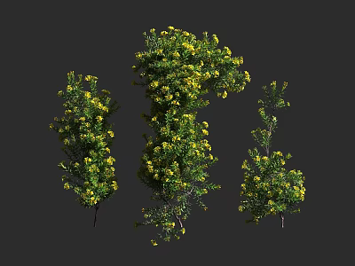 Green Leafy Shrubs With Yellow Flowers In Varied Sizes And Natural Shapes 3d model