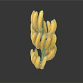 Fresh Yellow Bananas Bunch with Ripe Fruits on White Background