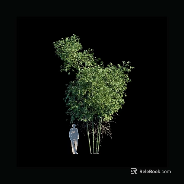 Tall Bamboo Plant With Lush Green Leaves And Human Silhouette Against Black Background 3d model 
