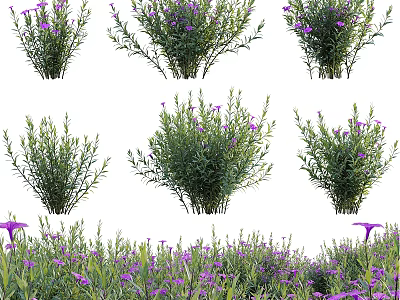 Decorative Ornament Set with Purple Flowers and Green Foliage Multiple Arrangements for Home Decoration 3d model