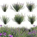 Decorative Ornament Set with Purple Flowers and Green Foliage Multiple Arrangements for Home Decoration