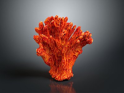 Coral Red Coral White Coral Blue Coral Gold Coral Black Coral Ball Coral Grass Coral Fine Finger Anemone model