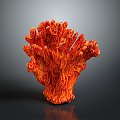 Coral Red Coral White Coral Blue Coral Gold Coral Black Coral Ball Coral Grass Coral Fine Finger Anemone 3d model