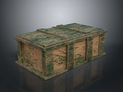 Weapon Storage Container With Camouflage Pattern For Military Transport And Protection 3d model