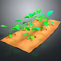 Fresh Green Vegetable Plants With Red Fruits Growing In Brown Soil