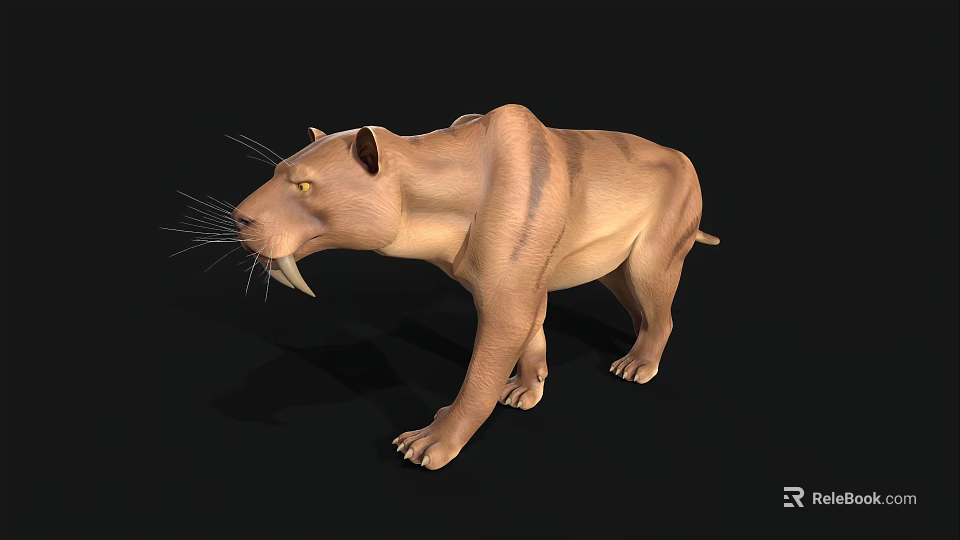 Realistic 3D Model of Saber Toothed Tiger With Detailed Fur And Long Canines 3d model 
