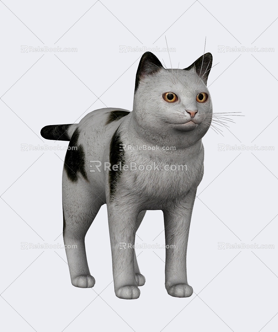 Cat Cat Cat Animal Reptile Small Animal Pet Cat Cute Realistic 3d model