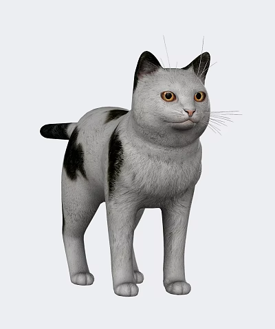 3D Model Cat With White Fur Black Spots Yellow Eyes And Erect Ears 3d model