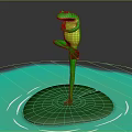 Green Frog Standing On One Leg On Green Lily Pad In Blue Water With Ripples