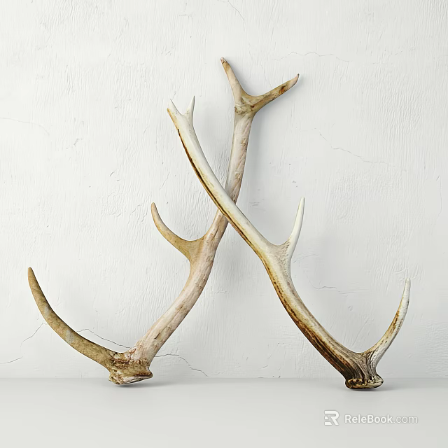Pair of Natural Antler Decorative Ornament Set for Elegant Rustic Home Interior 3d model 