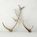 Pair of Natural Antler Decorative Ornament Set for Elegant Rustic Home Interior