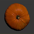 Healthy Organic Fresh Ripe Orange Pumpkin With Smooth Surface On Dark Background