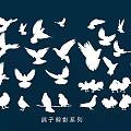 Stylish Wall Decor Featuring Pigeon Silhouette Series For Home Interior