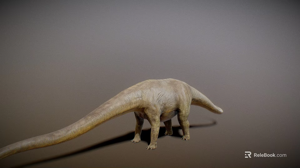Sauropod Dinosaur 3D Rendering With Long Neck Long Tail And Gray Background 3d model