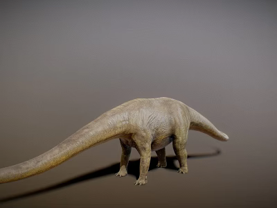 Sauropod Dinosaur 3D Rendering With Long Neck Long Tail And Gray Background 3d model