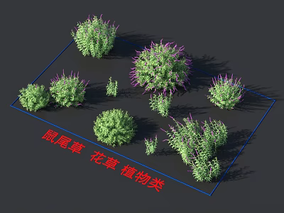 Various Types of Sage Flowers and Plants 3D Models for Garden Landscaping Design 3d model