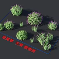 Various Types of Sage Flowers and Plants 3D Models for Garden Landscaping Design