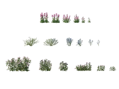 Various Garden Flowers and Herb Plants in Different Sizes and Colorful Blooms 3d model