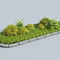 Lush Green Bushes And Ferns In Garden Bed With Concrete Edging And Lawn