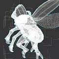 Red Reptile 3D Model With Wings Antennae And Detailed Legs Structure