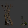 Natural Dried Tree Branches And Wooden Stems For Decorative Plant Arrangement