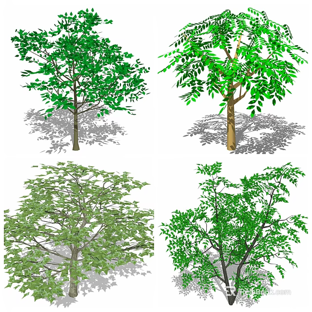 Various Trees with Lush Green Leaves and Dense Canopy in Different Forms Casting Natural Shadows 3d model