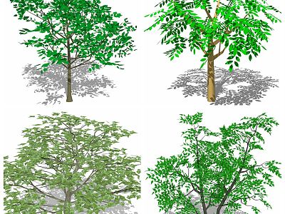 modern tree flowers green plants model