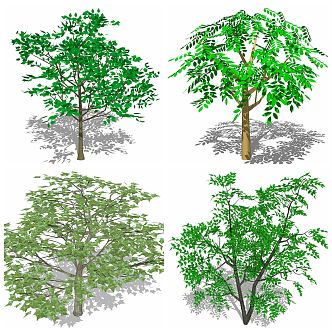 modern tree flowers green plants 3d model