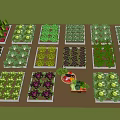 Various Colorful Bonsai Potted Plants Arranged In Trays With Fresh Green Vegetables