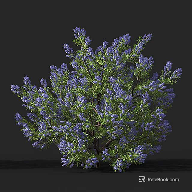 Lush Tree With Vibrant Purple Flowers And Fresh Green Leaves Against Dark Background 3d model 