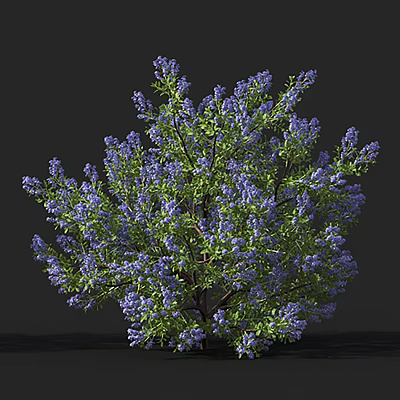 Lush Tree With Vibrant Purple Flowers And Fresh Green Leaves Against Dark Background 3d model