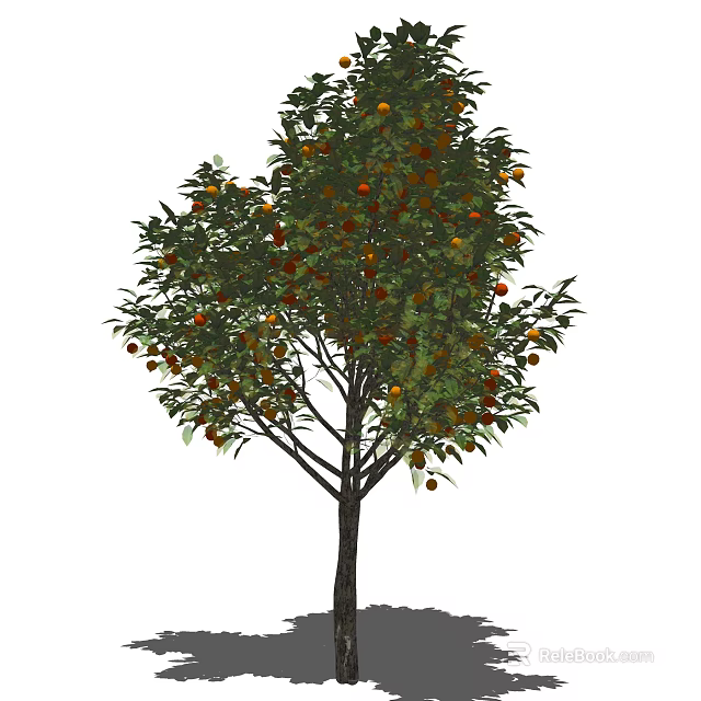 Fruit Bearing Tree with Lush Green Leaves and Abundant Colorful Fruits 3d model 
