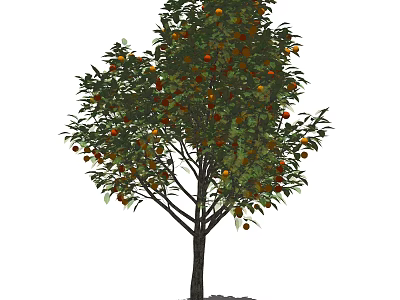 Fruit Bearing Tree with Lush Green Leaves and Abundant Colorful Fruits 3d model