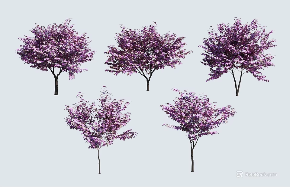 Blooming Purple Flowering Trees With Ornamental Lush Canopies And Slender Trunks 3d model 