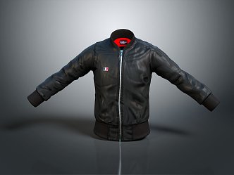 Jacket Leather Jacket Fashion Jacket Casual Jacket 3d model